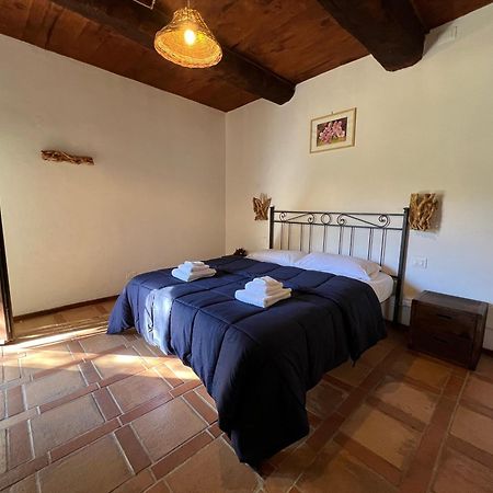 B&B Podere Legnotorto Castel del Piano  Bagian luar foto