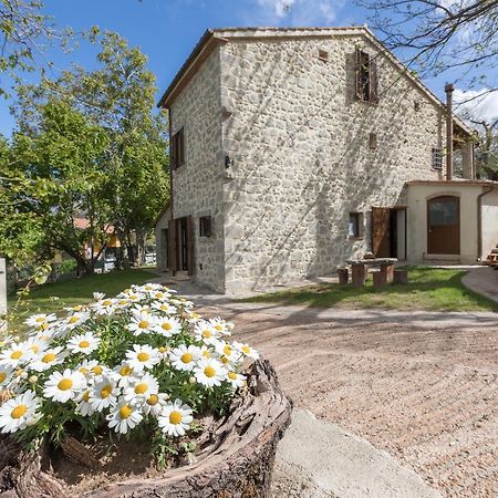 B&B Podere Legnotorto Castel del Piano  Bagian luar foto