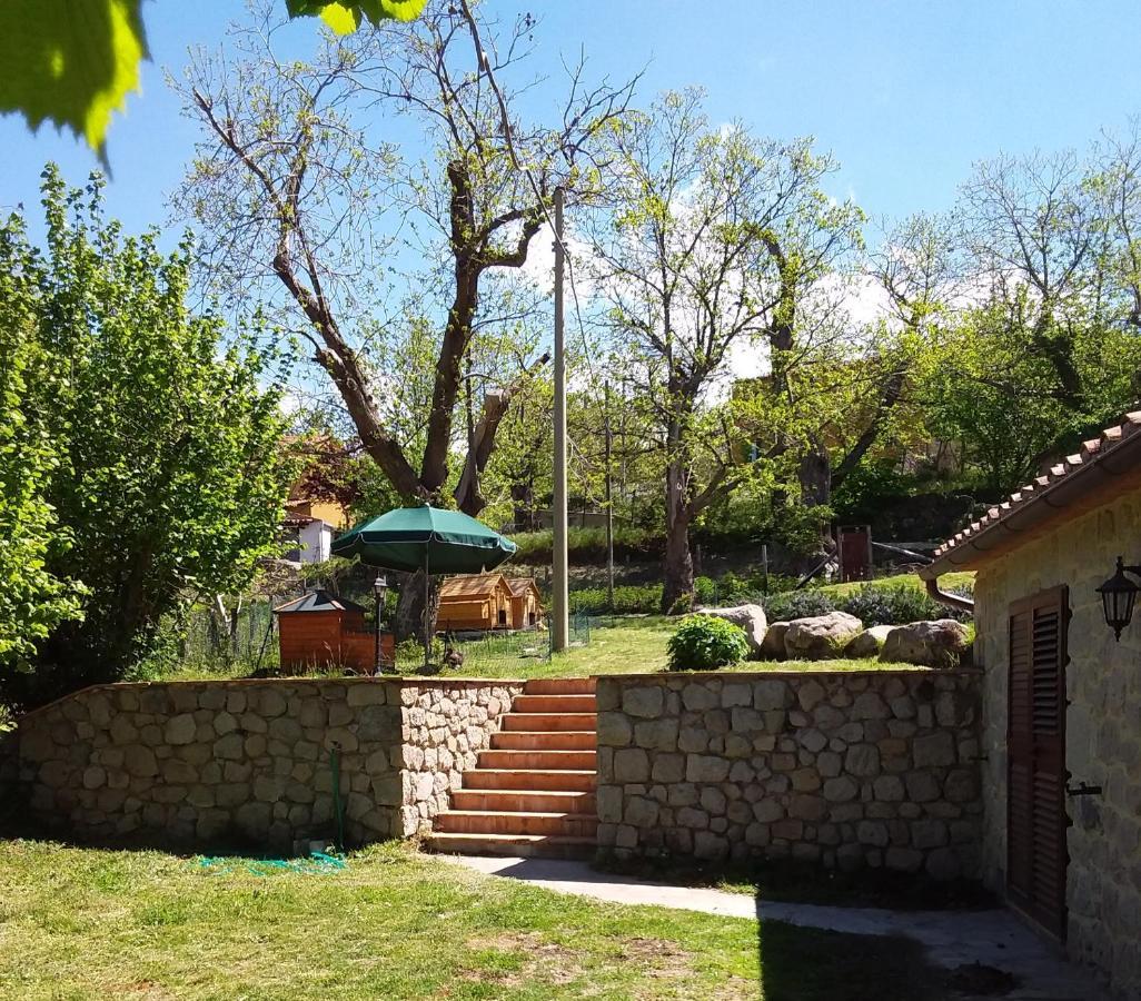 B&B Podere Legnotorto Castel del Piano  Bagian luar foto