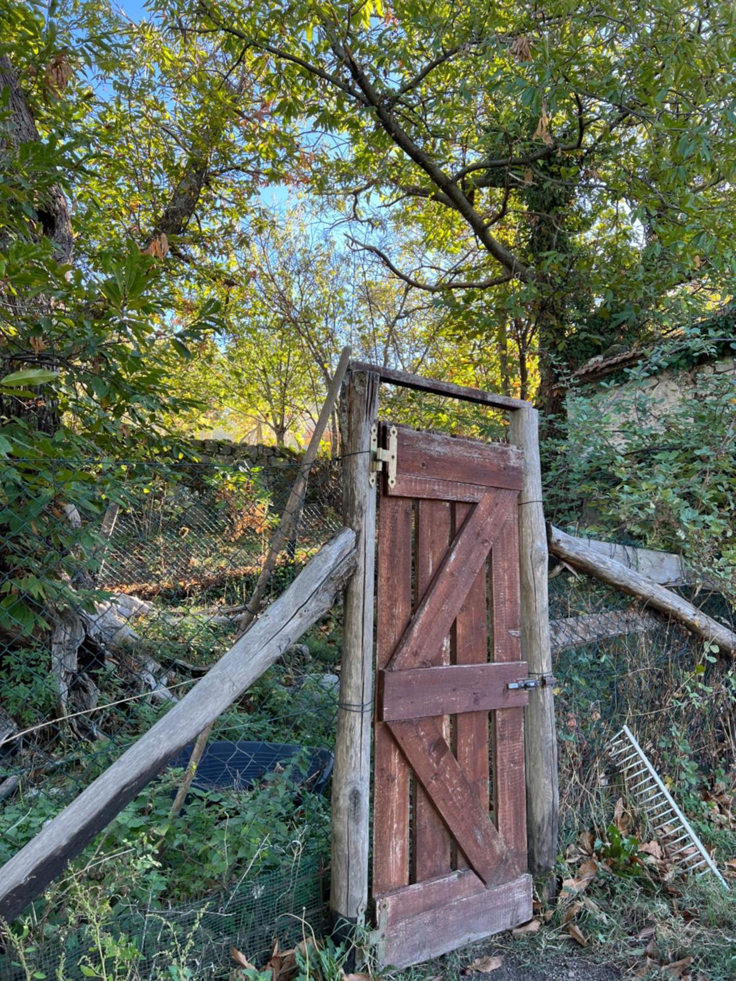 B&B Podere Legnotorto Castel del Piano  Bagian luar foto