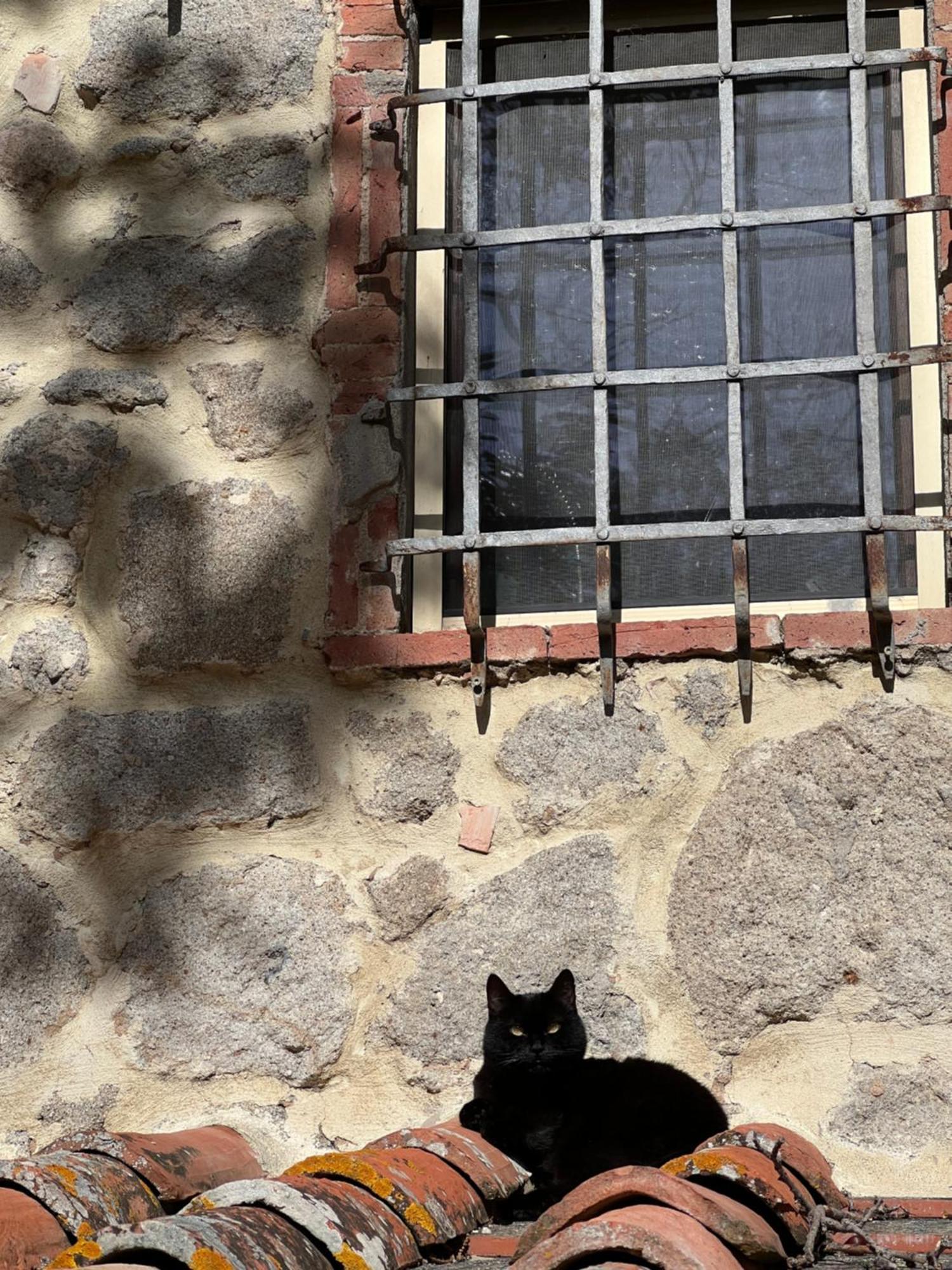 B&B Podere Legnotorto Castel del Piano  Bagian luar foto
