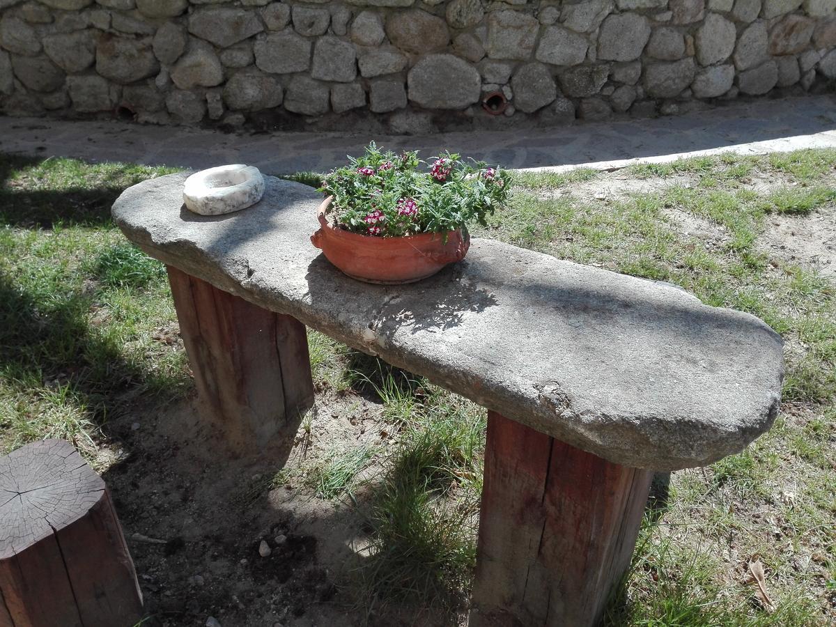 B&B Podere Legnotorto Castel del Piano  Bagian luar foto