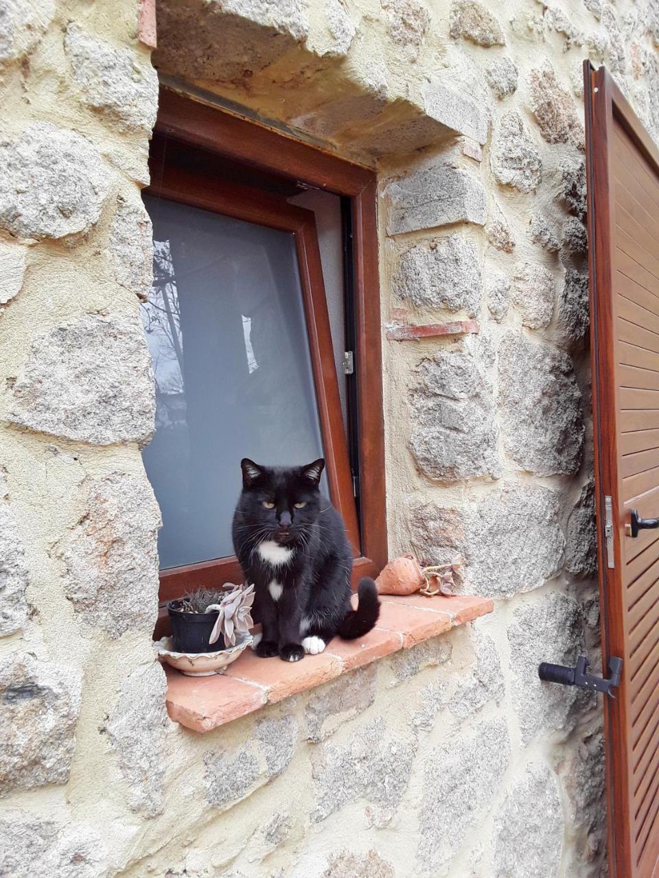B&B Podere Legnotorto Castel del Piano  Bagian luar foto